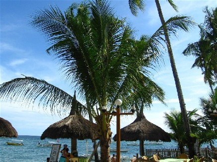 Der Ausblick vom Lost Horizon Beach Resort...