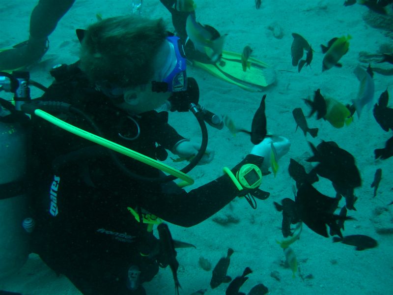 Ich f�ttere Fische mit Bananen. Manchmal werde ich auch gezwickt...