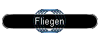 Fliegen