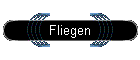 Fliegen
