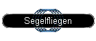 Segelfliegen